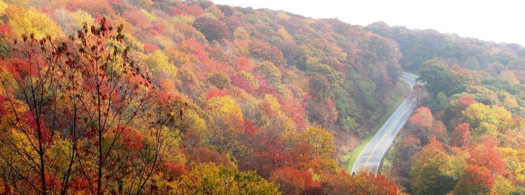 Montagna in North Carolina - GoodwillCarDonation.org